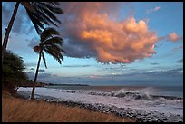 Palm trees, cloud, and ocean surf at sunset. Lahaina, Maui, Hawaii, USA