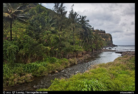 Honokohau creek and coast. Maui, Hawaii, USA (color)