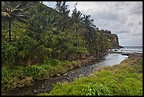 Honokohau creek and coast. Maui, Hawaii, USA (color)