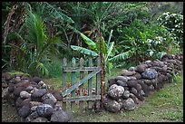 Tropical garden delimited by low stone walls. Maui, Hawaii, USA (color)