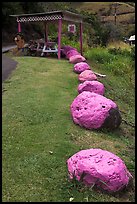 Rocks painted pink, Kahakuloa. Maui, Hawaii, USA (color)