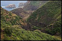 Verdant eroded valley. Maui, Hawaii, USA