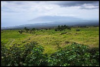 West Maui seen from highlands. Maui, Hawaii, USA