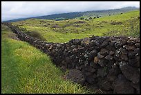 Long lava rock wall and pastures. Maui, Hawaii, USA