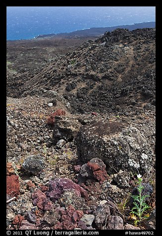 Desert-like lava flow rock and ocean, Kanalo reserve. Maui, Hawaii, USA (color)