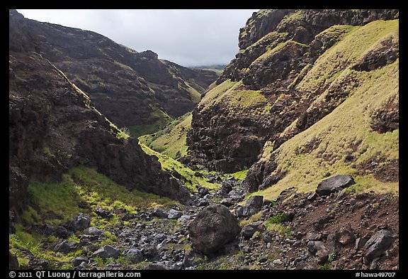 Deeply eroded canyon. Maui, Hawaii, USA (color)