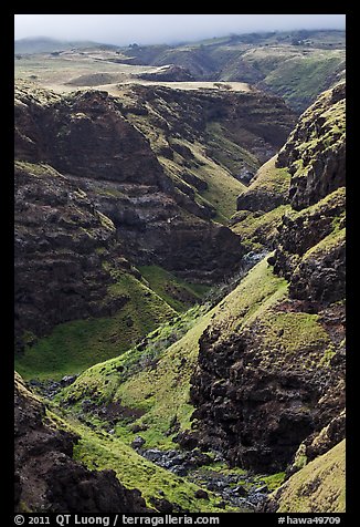 Canyon through volcanic rock. Maui, Hawaii, USA (color)