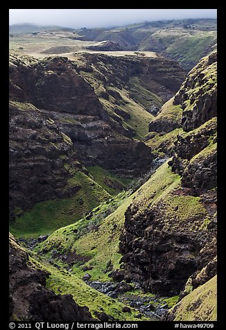 Canyon through volcanic rock. Maui, Hawaii, USA