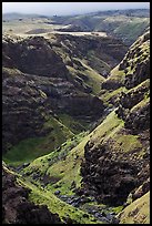 Canyon through volcanic rock. Maui, Hawaii, USA (color)