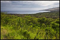 Mamalu Bay seen from verdant hills. Maui, Hawaii, USA ( color)