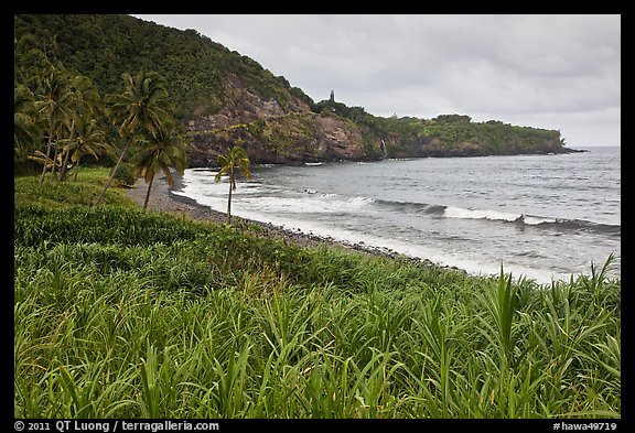 Beach, Opelu Falls dropping into bay. Maui, Hawaii, USA (color)