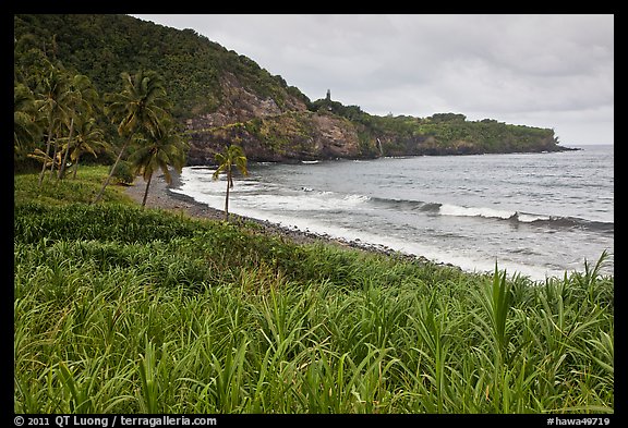 Beach, Opelu Falls dropping into bay. Maui, Hawaii, USA