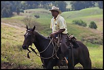 Paniolo (Hawaiian cowboy). Maui, Hawaii, USA ( color)