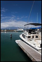 Yachts in harbor. Lahaina, Maui, Hawaii, USA