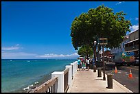 Waterfront promenade. Lahaina, Maui, Hawaii, USA (color)