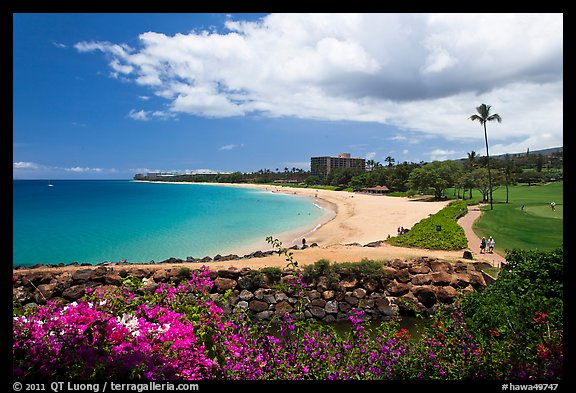 Beach and golf course, Kaanapali. Lahaina, Maui, Hawaii, USA (color)
