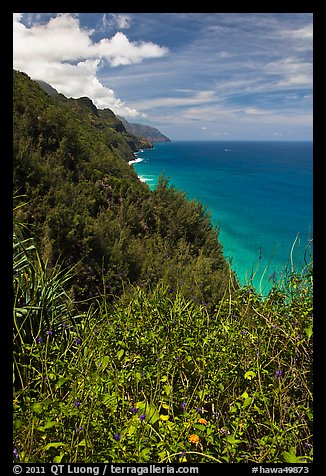 Scalloped Na Pali cliffs along coast. Kauai island, Hawaii, USA (color)