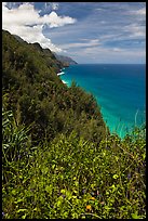 Scalloped Na Pali cliffs along coast. Kauai island, Hawaii, USA