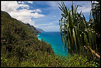 Jagged green cliffs plunging into blue waters, Na Pali coast. Kauai island, Hawaii, USA (color)