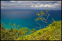 Ocean view from Kalalau trail. Kauai island, Hawaii, USA ( color)