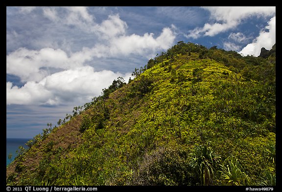 Tropical hill and clouds, Na Pali coast. Kauai island, Hawaii, USA (color)