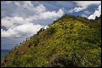 Tropical hill and clouds, Na Pali coast. Kauai island, Hawaii, USA