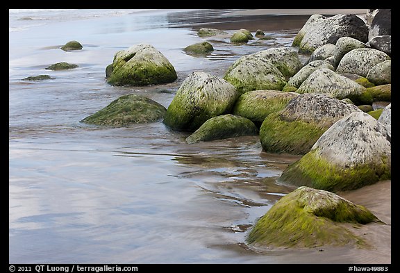 Mossy rocks on Hanakapiai Beach. Kauai island, Hawaii, USA (color)