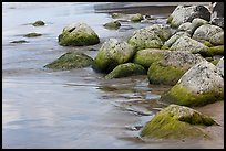 Mossy rocks on Hanakapiai Beach. Kauai island, Hawaii, USA