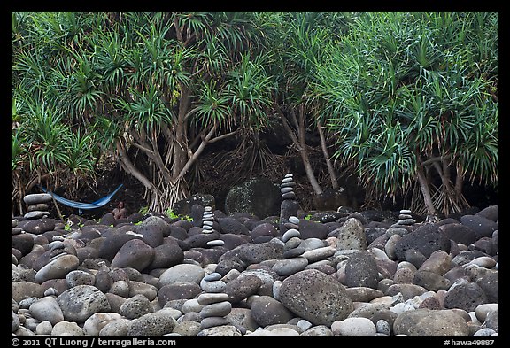 Cairns, Pandanus trees, and hammock, Hanakapiai Beach. Kauai island, Hawaii, USA (color)