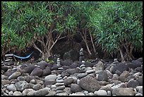 Cairns, Pandanus trees, and hammock, Hanakapiai Beach. Kauai island, Hawaii, USA ( color)