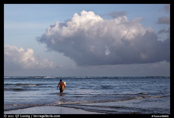 Surfer heading out in ocean. Kauai island, Hawaii, USA