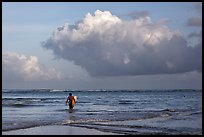 Surfer heading out in ocean. Kauai island, Hawaii, USA (color)