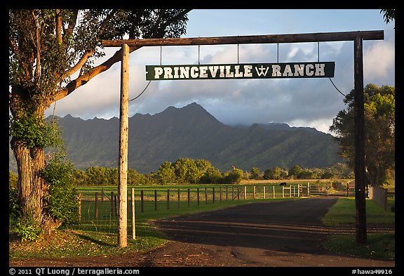 Princeville Ranch gate. Kauai island, Hawaii, USA (color)