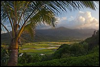 Hanalei Valley from above, sunset. Kauai island, Hawaii, USA (color)