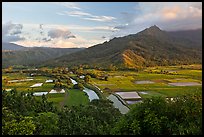 Hanalei Valley and taro paddies from above. Kauai island, Hawaii, USA (color)