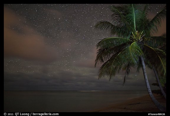 Palm tree, stars and ocean. Kauai island, Hawaii, USA