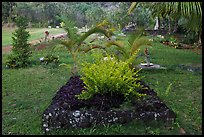 Tomb made of lava rock, Hanalei Valley. Kauai island, Hawaii, USA (color)
