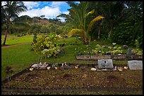 Hawaiian graves, Hanalei Valley. Kauai island, Hawaii, USA ( color)