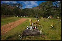 Chinese graves,  Hanalei Valley. Kauai island, Hawaii, USA (color)