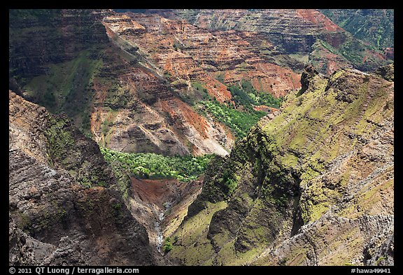 Waimea Canyon carved into tholeiitic and post-shield calc-alkaline lava. Kauai island, Hawaii, USA (color)