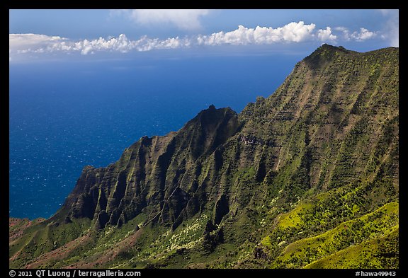 Na Pali Cliffs, seen from Pihea Trail. Kauai island, Hawaii, USA (color)