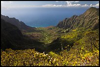 Kalalau Valley and Ocean. Kauai island, Hawaii, USA (color)