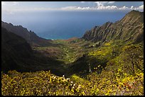 Kalalau Valley and Ocean. Kauai island, Hawaii, USA