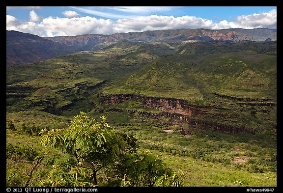 Downriver from Waimea Canyon. Kauai island, Hawaii, USA (color)