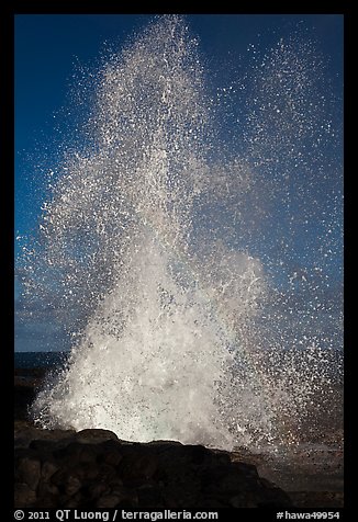 Spouting Horn spurting water 50 feet into the air. Kauai island, Hawaii, USA