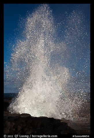 Spouting Horn spurting water 50 feet into the air. Kauai island, Hawaii, USA (color)