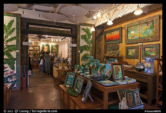 Art gallery, Kilauea. Kauai island, Hawaii, USA (color)