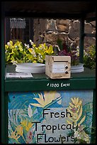 Self-serve fresh tropical flowers stand. Kauai island, Hawaii, USA