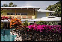 Residence with tropical flowers, Kailua-Kona. Hawaii, USA (color)