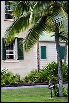 Hulihee Palace detail with coconut tree, Kailua-Kona. Hawaii, USA (color)